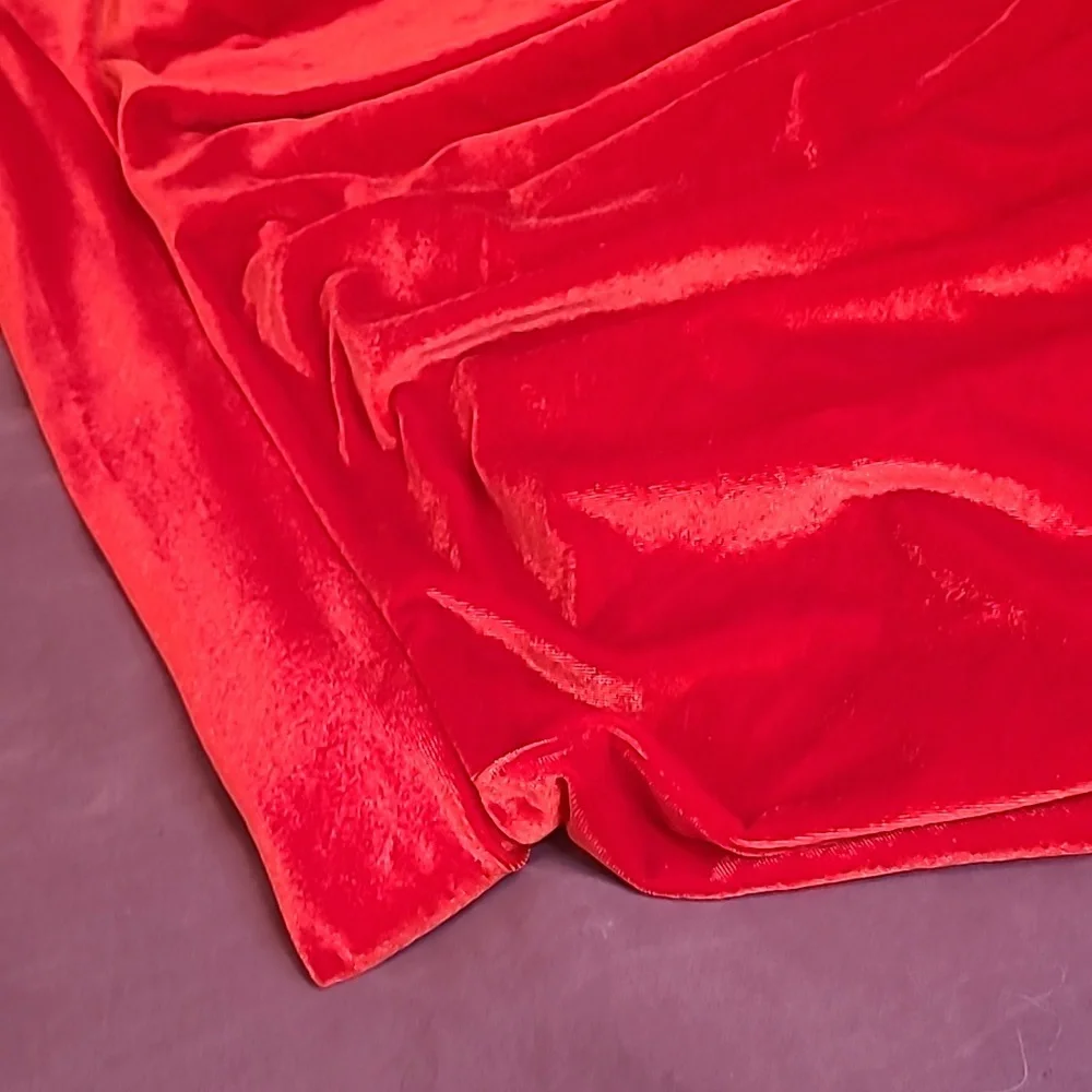 Red Velvet Skirt NWT - Picture 2 of 2